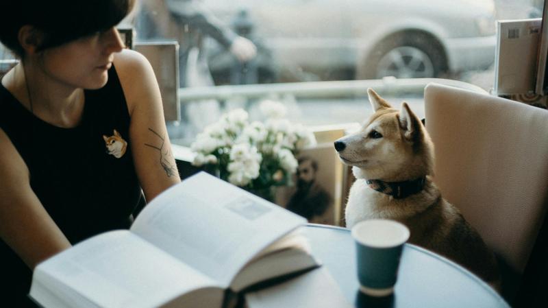 Top 5 Dog-Friendly Cafés & Spots in North Dublin