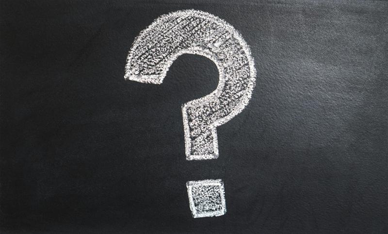 10 Questions to Ask Before Hiring a Pet Sitter