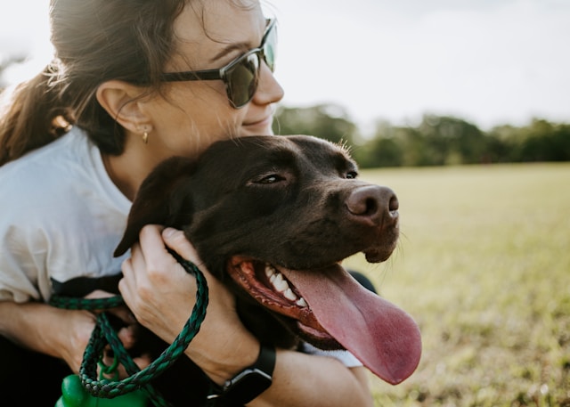What to Look for in a Trustworthy Pet Sitter: A Guide for Irish Pet Owners